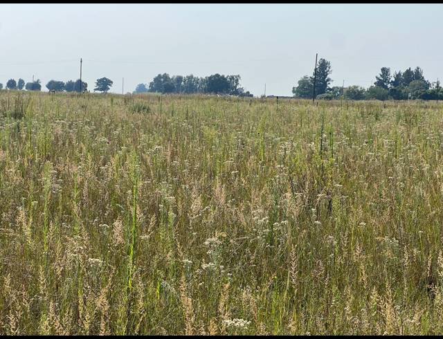 108,000M² VACANT LAND FOR SALE IN WONDERWATER
